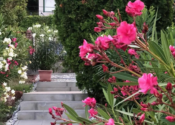 Polaris Yacht Appartement